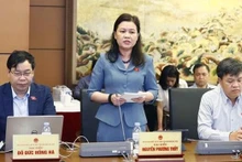 Débat en groupe à la délégation des députés de la ville de Hanoi. Photo : VNA