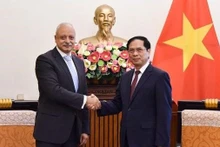 Le ministre des Affaires étrangères Bui Thanh Son (droite) et l’assistant au ministre des Affaires étrangères de l'Égypte Ayman Aly Kamel Aly. Photo : VNA