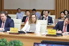 Des représentants d'entreprises étrangères et d'associations professionnelles lors d'une conférence avec le Premier ministre vietnamien. Photo : VNA