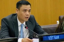 L'ambassadeur Dang Hoang Giang, chef de la Mission permanente du Vietnam auprès des Nations Unies. Photo: VNA