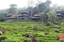 La réserve nationale de Pu Luong, une destination de prédilection de nombreux visiteurs. Photo : https://baothanhhoa.vn/ 