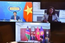 Le vice-ministre des Affaires étrangères Pham Quang Hiêu (à gauche) et la vice-ministre namibienne des Relations internationales et de la Coopération Jenelly Matundu lors de leur entretien en ligne, le 24 octobre. Photo : VNA