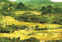 Le paysage sauvage du village d’U (district de Tân Son, province de Phu Tho, au Nord). Photo : Luong Tuân/VNA.