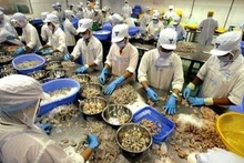 Les échanges commerciaux Vietnam-Afrique du Sud devraient atteindre 1,3 milliard de dollars en 2022. Photo : VNA.