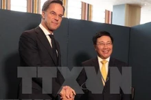 Le vice-Premier ministre permanent vietnamien Pham Binh Minh (droite) rencontre le Premier ministre néerlandais Mark Rutte. Photo : VNA