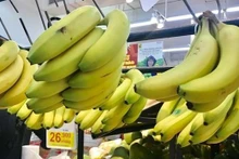 Le Vietnam a dépassé pour la première fois les Philippines en termes d'exportations de bananes vers la Chine. Photo: Vietnambiz