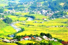 La riziculture en terrasses offre aux habitants locaux non seulement un moyen de subsistance, mais aussi un paysage fantastique qui attire les touristes vietnamiens et étrangers. Photo: NDEL