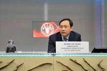 L'ambassadeur Duong Hai Hung. Photo: VNA