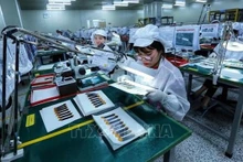 Le commerce bilatéral a atteint 11,5 milliards de dollars en 2021 et plus de 10,5 milliards de dollars au cours des 10 premiers mois de 2022. Photo : VNA.