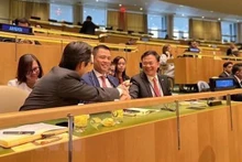 La délégation vietnamienne assiste à la réunion pour voter et annoncer les résultats de l'adhésion au Conseil des droits de l'homme des Nations Unies. Photo: VNA 