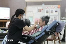 Depuis 1992 jusqu'à présent, des centaines de milliers de travailleurs vietnamiens sont venus travailler au Japon. Photo : VNA