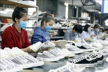 Production de chaussures destinées à l'exportation chez Ha Tay Chemical Textile Company Limited. Photo: VNA 
