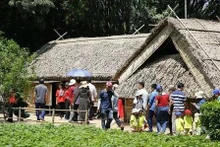 De nombreuses personnes se rendent au village de Sen à l’occasion du 135e anniversaire de la naissance de l'Oncle Ho. Photo : sggp.org.vn 