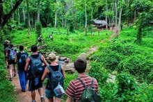 Photo: moitruongvadothi.vn