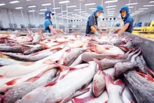 Le pangasius est également un produit d’exportation clé du Vietnam vers le Moyen-Orient. Photo : congthuong.