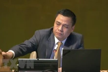 L’ambassadeur Dang Hoang Giang, chef de la Mission permanente du Vietnam auprès de l’ONU. Photo: VNA