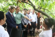 John Forbes Kerry, envoyé spécial du président américain pour le climat , se rend à une installation de production de cacao dans le district de Chau Thanh, Ben Tre. Photo: VNA