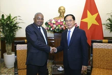 Le ministre des Affaires étrangères, Bùi Thanh Son, et l’ambassadeur du Mozambique, Leonardo Pene. Photo : baoquocte.