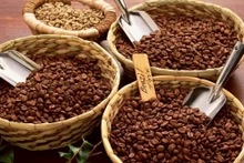Le Vietnam a exporté 893 820 tonnes de café, rapportant 3,1 milliards de dollars. Photo : congthuong.