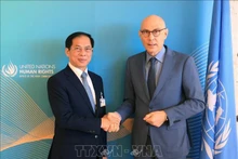 Le ministre des Affaires étrangères, Bùi Thanh Son (à gauche), et le Haut-Commissaire des Nations Unies aux droits de l'homme, Volker Turk. Photo : VNA.