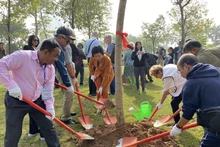 Des délégués internationaux et des responsables de Hanoï ont planté des arbres dans le parc Hoa Binh à Hanoï le 14 janvier pour commémorer la signature des Accords de paix de Paris. Photo : HNM. 