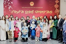 Fête du Printemps 2025 pour les Vietnamiens en Chine orientale