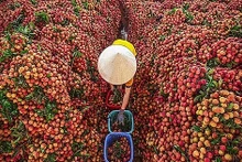 Les légumes et les fruits figuraient parmi les 3 premières exportations agricoles du Vetnam. Photo : Congthuong.vn