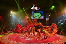 Lors de la cérémonie d'ouverture du Festival international du cirque 2022. Photo : VNA.