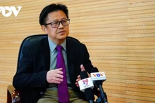  Yang Danchi, spécialiste des Affaires internationales de l’Institut des Sciences sociales chinois. Photo : VOV.