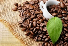 Les exportations vietnamiennes de café Robusta vers le Japon enregistrent une croissance à deux chiffres. Photo : VOV