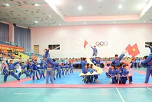 Le Championnat national des équipes fortes de Vovinam s'est ouvert le 10 avril, dans la province de Binh Duong. Photo : NDEL.