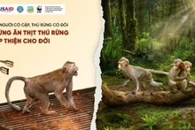 Une affiche de la campagne de réduction de la demande en viande sauvage lancée le 15 mars. (Photo fournie par USAID Biodiversity Conservation)