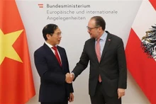 Le ministre autrichien des Affaires étrangères Alexander Schallenberg et le ministre des Affaires étrangères Bùi Thanh Son (gauche) en Autriche. Photo : VNA