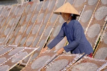 Les habitants de Thuân Hung perpétuent encore la technique traditionnelle de fabrication de papier de riz. Photo : NDEL.