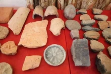 Plus de 2 300 pièces de moules à tambour en bronze ont été découvertes dans l'ancienne citadelle de Luy Lâu. Photo : Musée national d’histoire du Vietnam. 