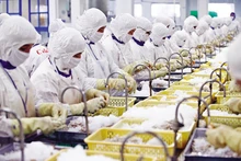 Les produits aquatiques sont l’un des articles d’exportation de haute valeur vers les États-Unis. Photo : Dautu. 