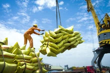 Les exportations vietnamiennes de riz affichent une croissance spectaculaire. Photo : NDT.vn