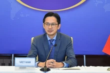 Le vice-ministre des Affaires étrangères Dô Hùng Viêt. Photo : VNA.