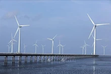 Des éoliennes construites au large de la province de Cà Mau. Photo : VNA. 