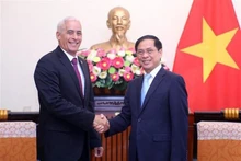 Le ministre des Affaires étrangères Bùi Thanh Son et le premier vice-ministre cubain des Affaires étrangères, Gerardo Peñalver Portal. Photo : VNA