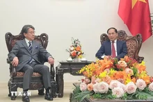 Le vice-Premier ministre et ministre des Affaires étrangères Bui Thanh Son (droite) reçoit le président du conseil d'administration de la Banque japonaise pour la coopération internationale (JBIC), Maeda Tadashi. Photo : VNA.