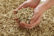 Les exportations de copeaux et de granulés de bois vers le Japon ont connu une augmentation. Photo : VnEconomy.