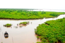 Le parc national de Xuan Thuy abrite 120 espèces de flore, plus de 500 espèces de faune et 30 espèces de reptiles et d’amphibiens. Photo : NDEL