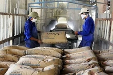 Les exportations de ciment et de clinker rapportent 1,125 milliard de dollars sur dix mois. Photo : congthuong.vn