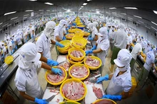 Le Vietnam reste le troisième fournisseur de fruits de mer de la République de Corée. Photo : congthuong.