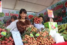 La province de Hai Duong, en collaboration avec les ministères vietnamiens de l’Industrie et du Commerce, et de l’Agriculture et du Développement rural, a organisé une conférence de promotion commerciale du litchi en 2022. Photo : VNA.