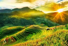 Mu Cang Chai. Photos: VNA