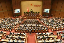 Les députés travaillent en séance plénière à l’Assemblée nationale. Photo : Bui Giang.