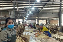 Le bois vietnamien sous pression : vers une réorientation stratégique