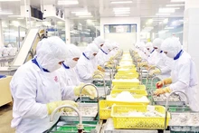 Transformation de produits aquatiques destinés à l'exportation à la Cafatex Seafood Joint Stock Company (Hâu Giang). Photo : Trân Quôc.